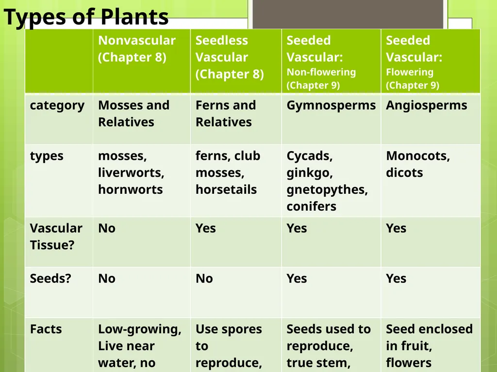 Chapter 8: Introduction to Plants 8-1: The Plant - slide 8 of 25