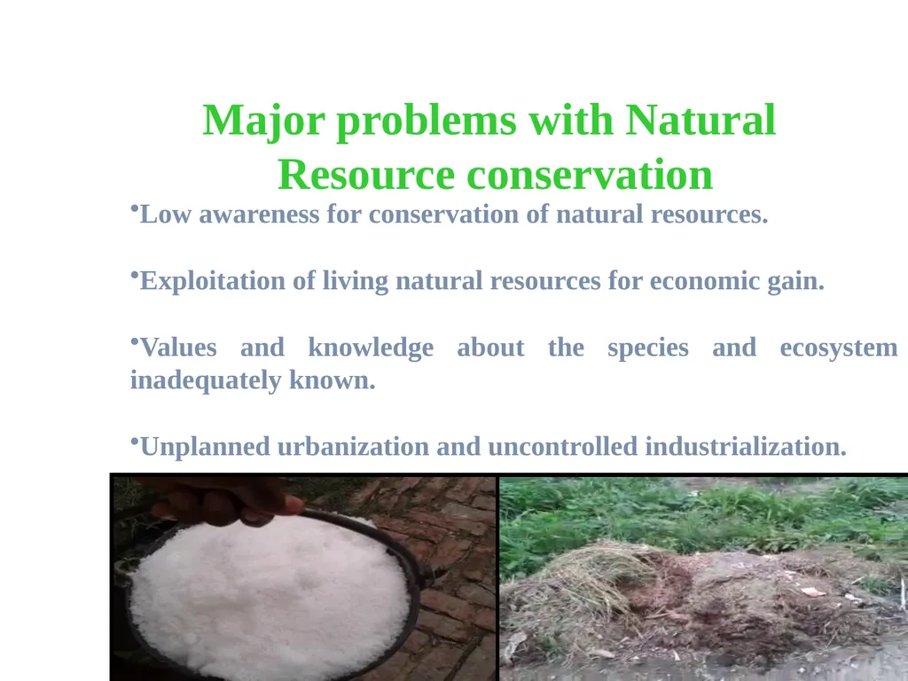 www.studymafia.org Submitted To: Submitted By: - slide 12 of 16