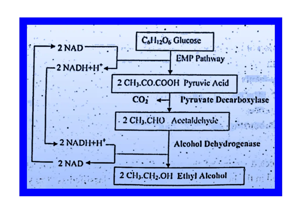 Unit – II Industrial Productions Mr. S. N. Mendhe - slide 17 of 23