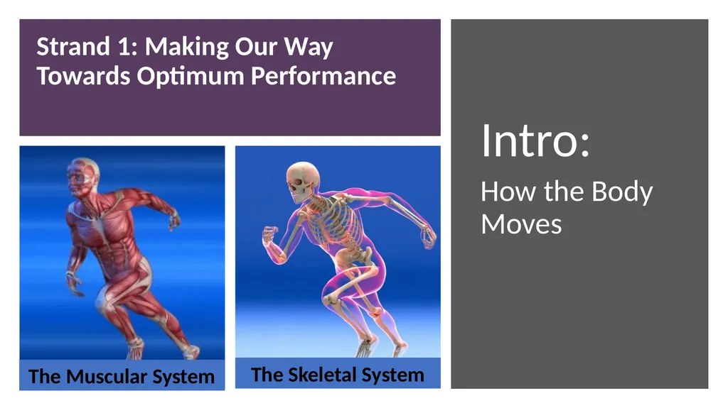 Leaving Cert PE An Introduction to the Course - slide 12 of 19