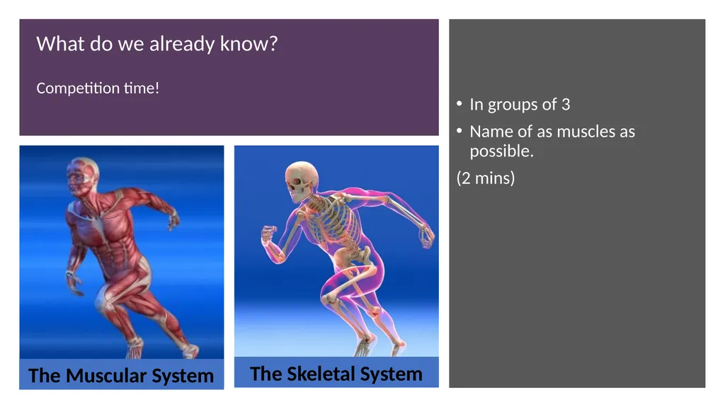 Leaving Cert PE An Introduction to the Course - slide 19 of 19