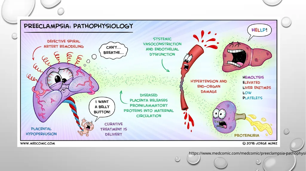 Anesthetic Considerations for Patients with - slide 8 of 28