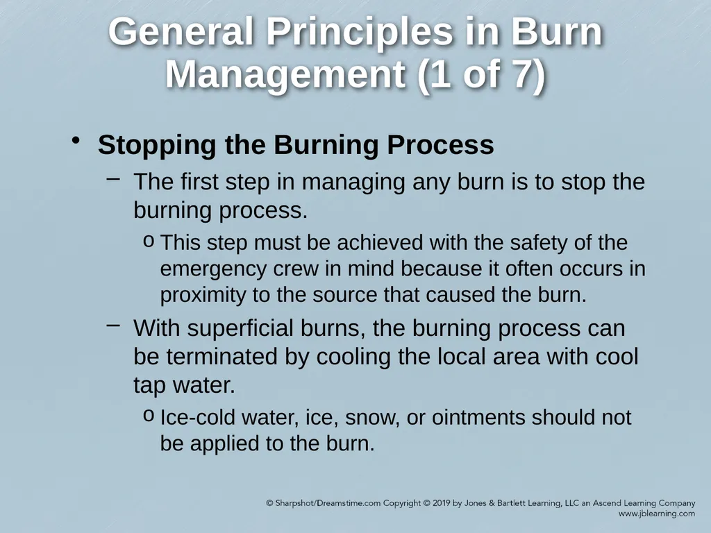 Chapter 38 Burns Comprehensive Lecture National - slide 26 of 59