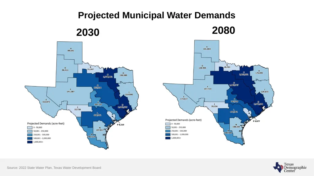 Texas Demographic Characteristics and Future - slide 16 of 30