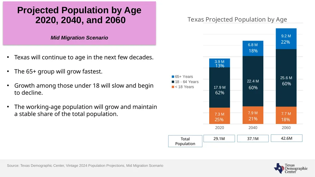 Texas Demographic Characteristics and Future - slide 20 of 30