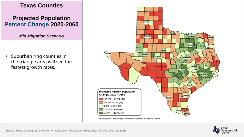 Texas Demographic Characteristics and Future - slide 19 of 30