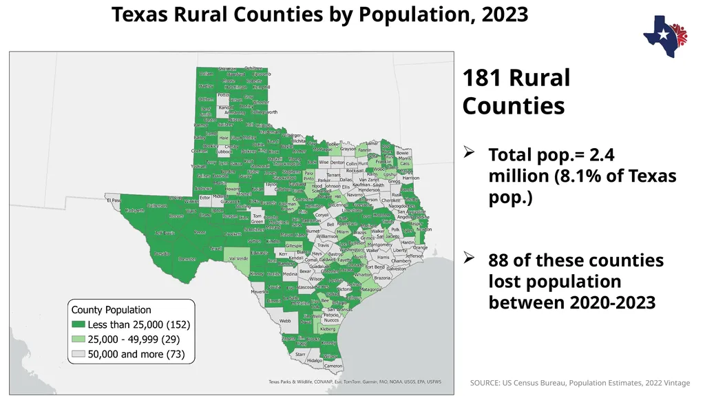 Texas Demographic Characteristics and Future - slide 12 of 30