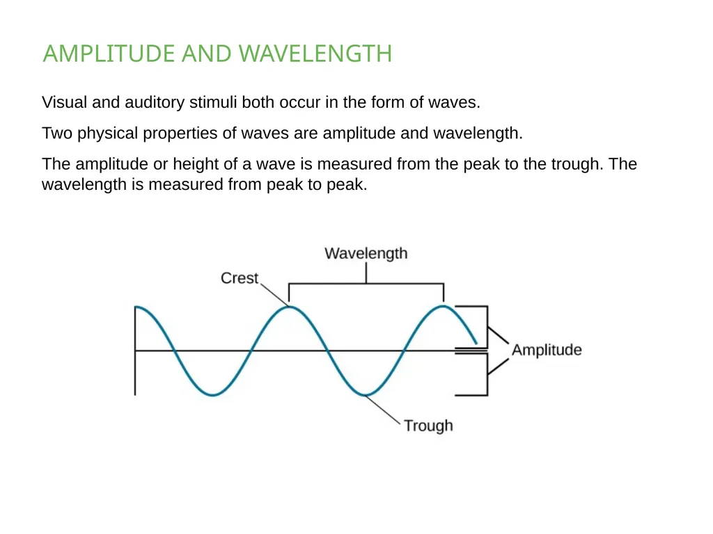 PSYCHOLOGY 2e Chapter 5 SENSATION AND PERCEPTION - slide 10 of 50