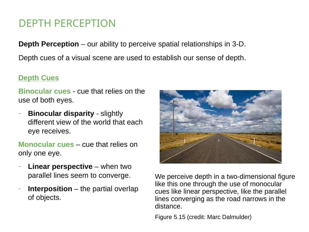 PSYCHOLOGY 2e Chapter 5 SENSATION AND PERCEPTION - slide 25 of 50