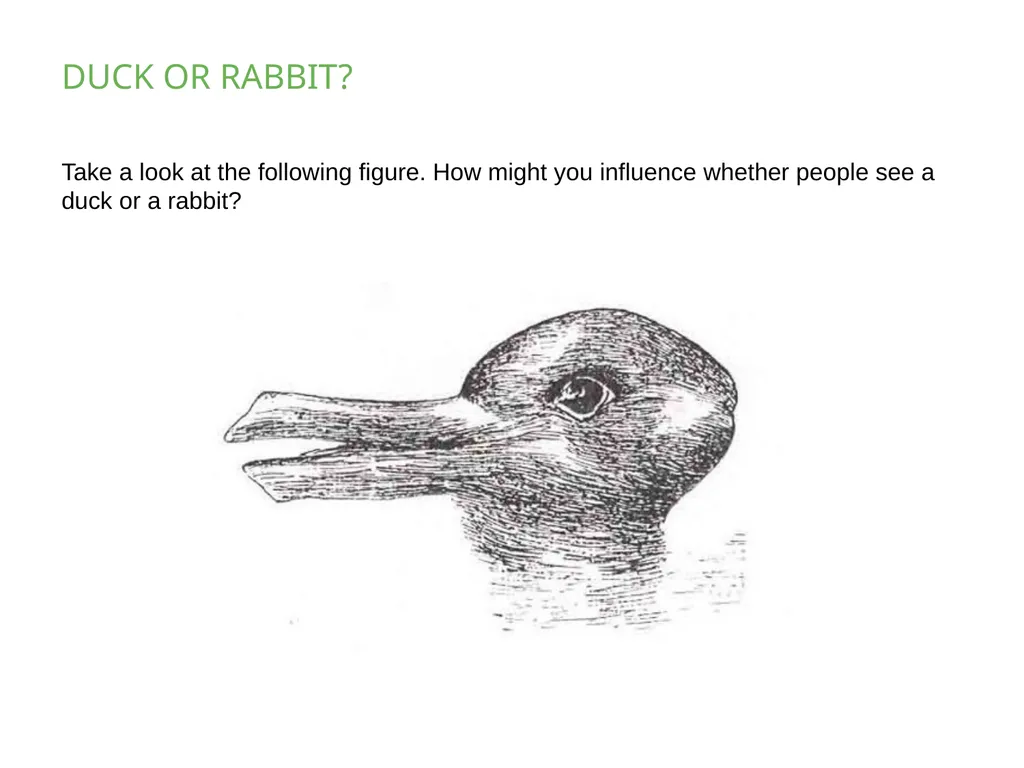 PSYCHOLOGY 2e Chapter 5 SENSATION AND PERCEPTION - slide 49 of 50