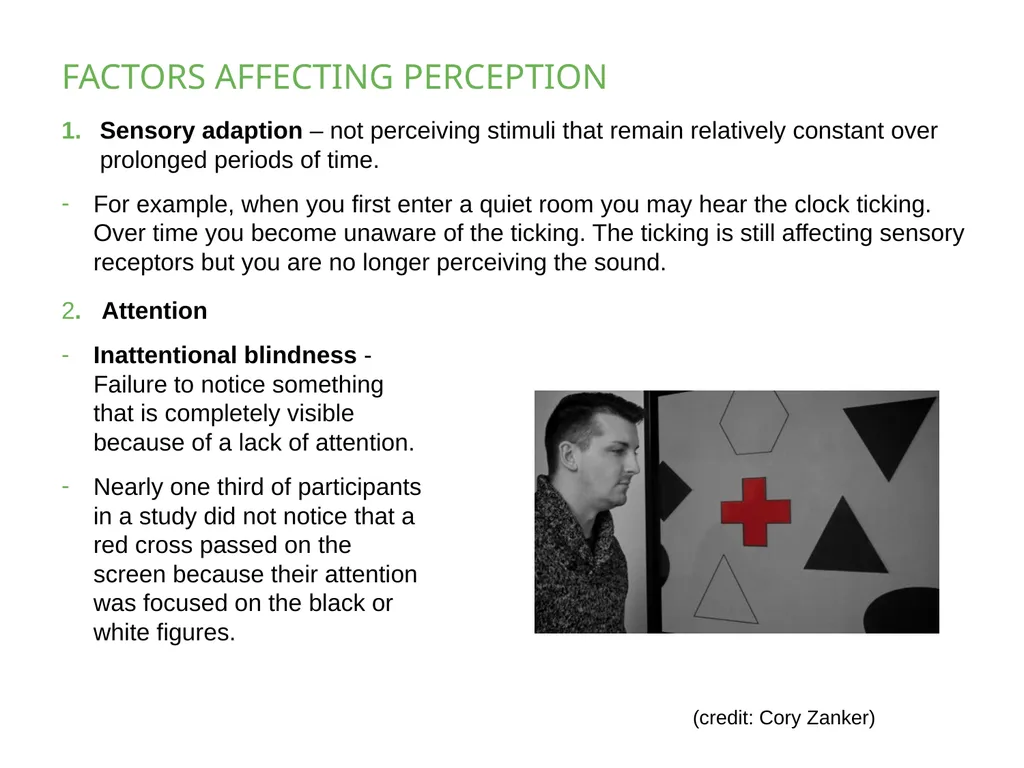 PSYCHOLOGY 2e Chapter 5 SENSATION AND PERCEPTION - slide 7 of 50