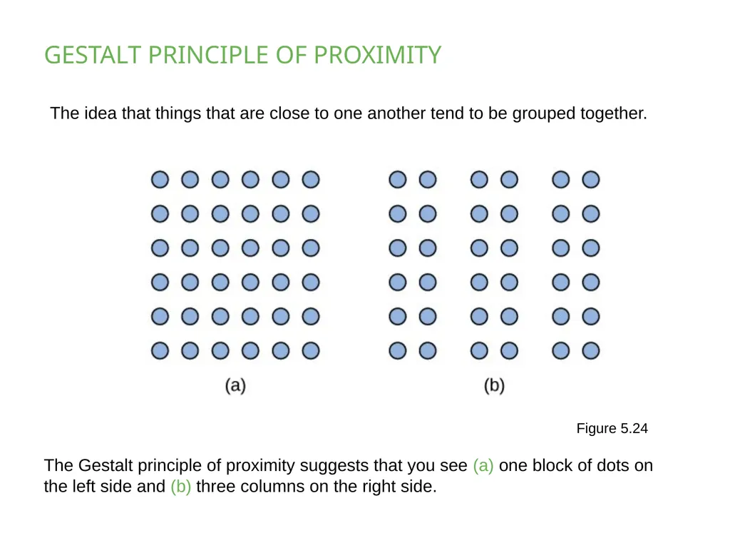 PSYCHOLOGY 2e Chapter 5 SENSATION AND PERCEPTION - slide 45 of 50