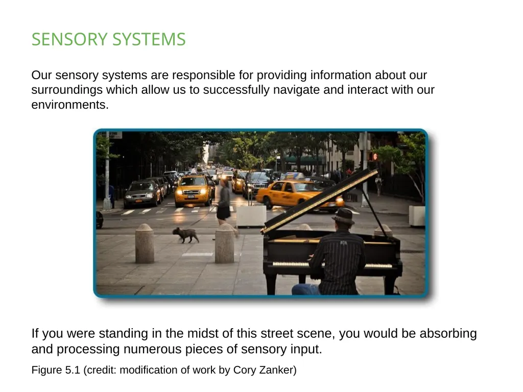 PSYCHOLOGY 2e Chapter 5 SENSATION AND PERCEPTION - slide 2 of 50