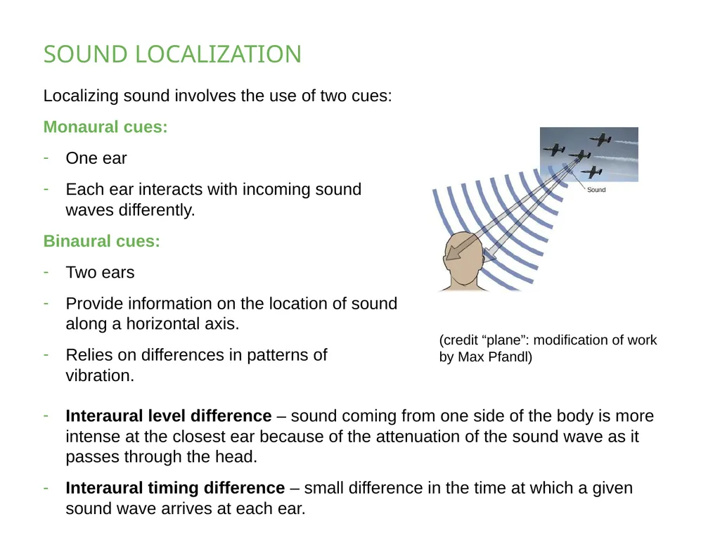 PSYCHOLOGY 2e Chapter 5 SENSATION AND PERCEPTION - slide 31 of 50