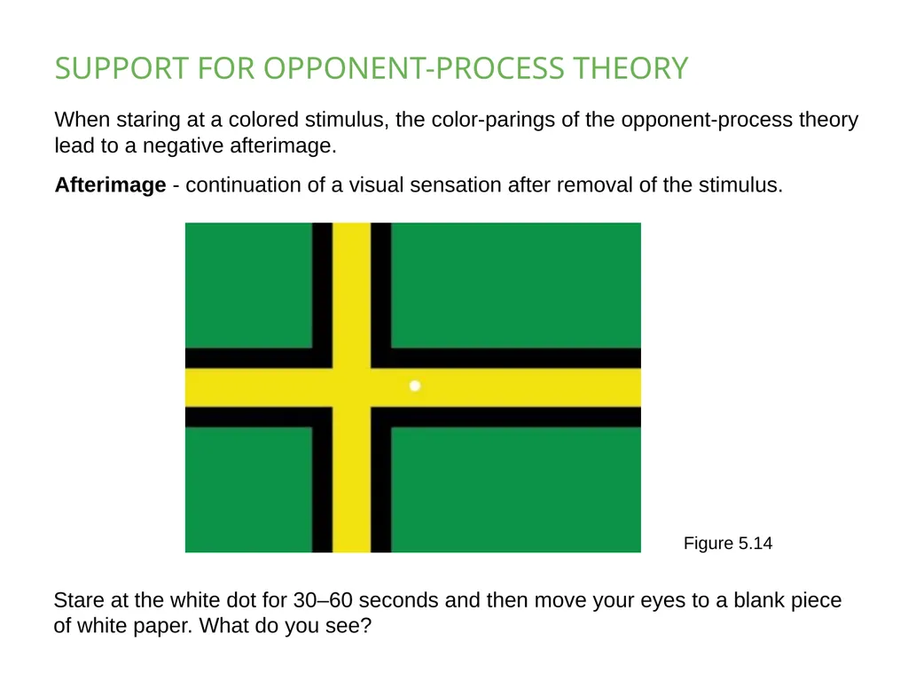 PSYCHOLOGY 2e Chapter 5 SENSATION AND PERCEPTION - slide 24 of 50