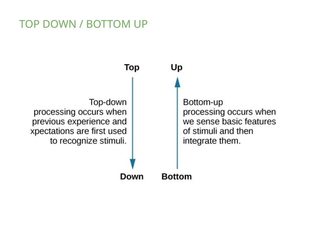 PSYCHOLOGY 2e Chapter 5 SENSATION AND PERCEPTION - slide 6 of 50