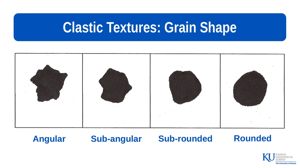 Sedimentary Rocks An Introduction to Key - slide 12 of 18
