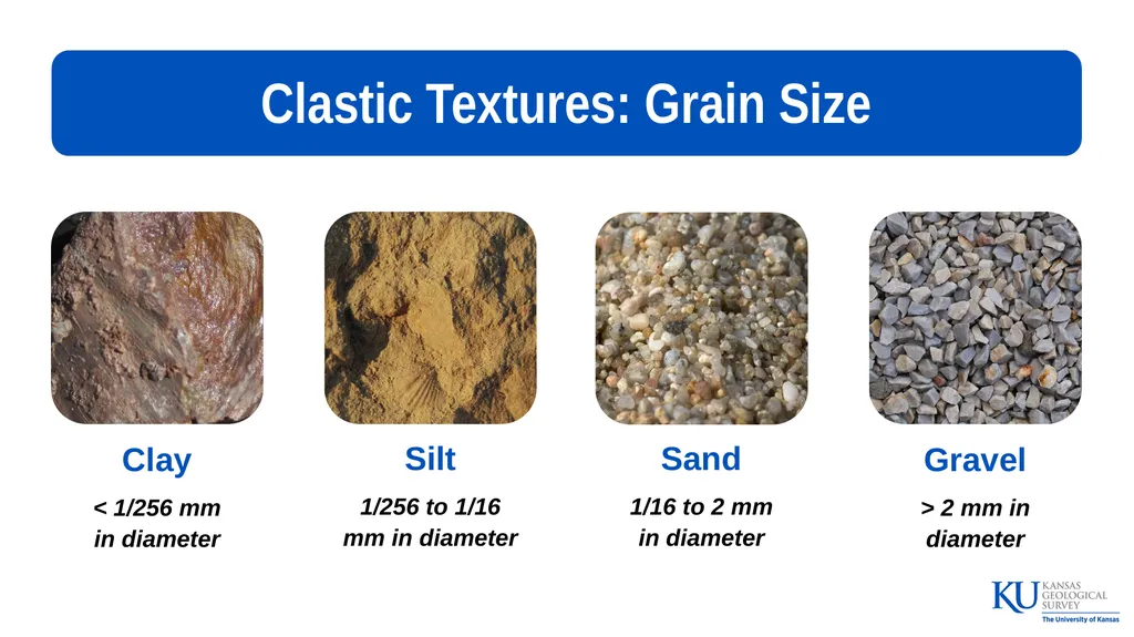 Sedimentary Rocks An Introduction to Key - slide 11 of 18
