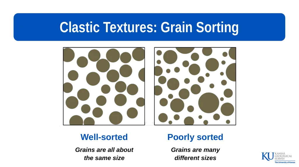 Sedimentary Rocks An Introduction to Key - slide 13 of 18