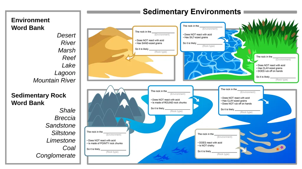 Sedimentary Rocks An Introduction to Key - slide 16 of 18