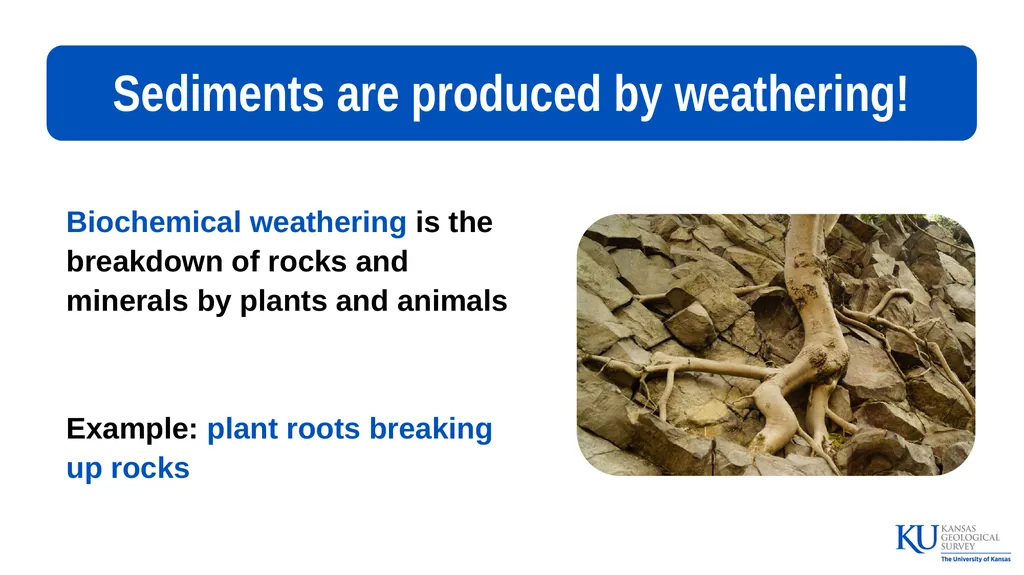 Sedimentary Rocks An Introduction to Key - slide 9 of 18