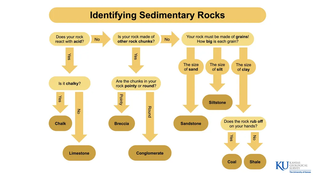 Sedimentary Rocks An Introduction to Key - slide 17 of 18