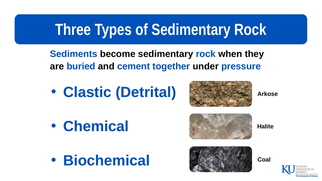 Sedimentary Rocks An Introduction to Key - slide 10 of 18