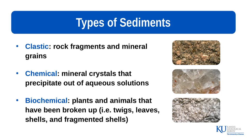 Sedimentary Rocks An Introduction to Key - slide 4 of 18
