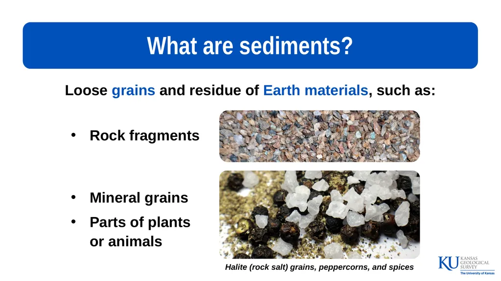 Sedimentary Rocks An Introduction to Key - slide 3 of 18