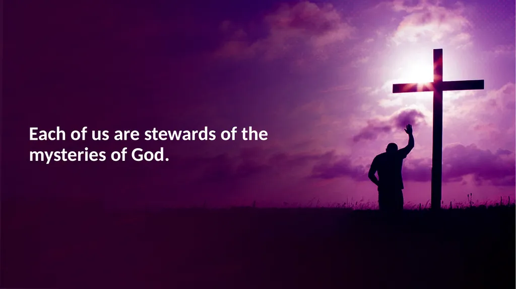 Stewardship is our responsible management and use - slide 29 of 29