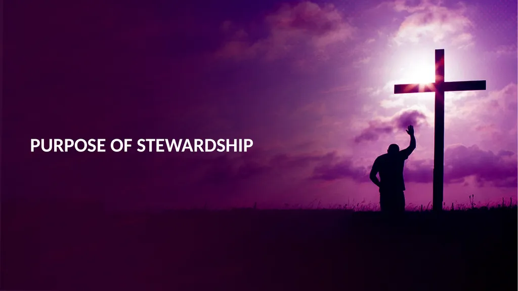 Stewardship is our responsible management and use - slide 8 of 29