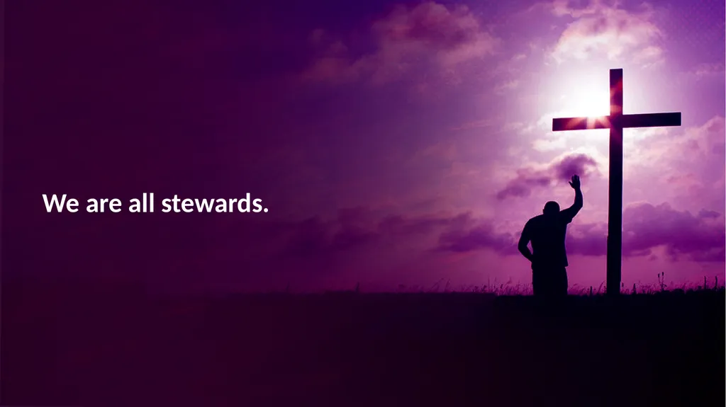 Stewardship is our responsible management and use - slide 3 of 29