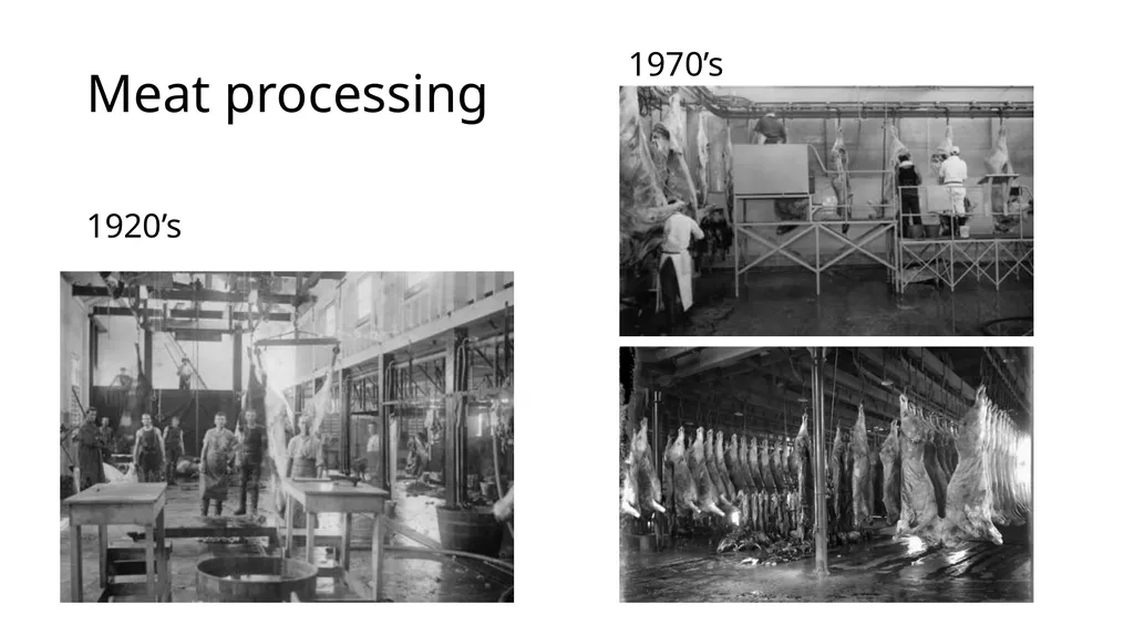 History of New Zealand Beef Farming 1814 Reverend - slide 10 of 15