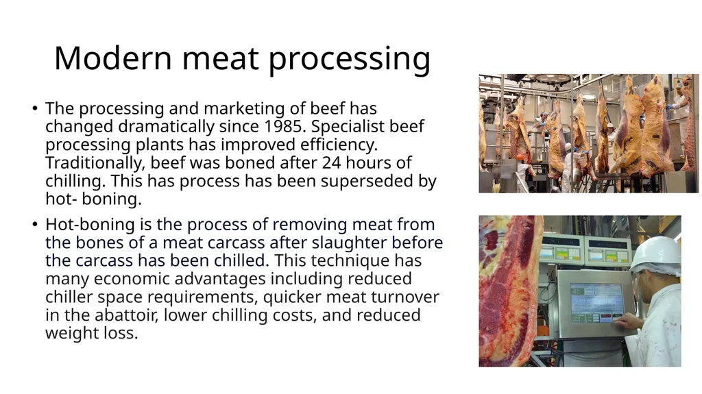History of New Zealand Beef Farming 1814 Reverend - slide 11 of 15