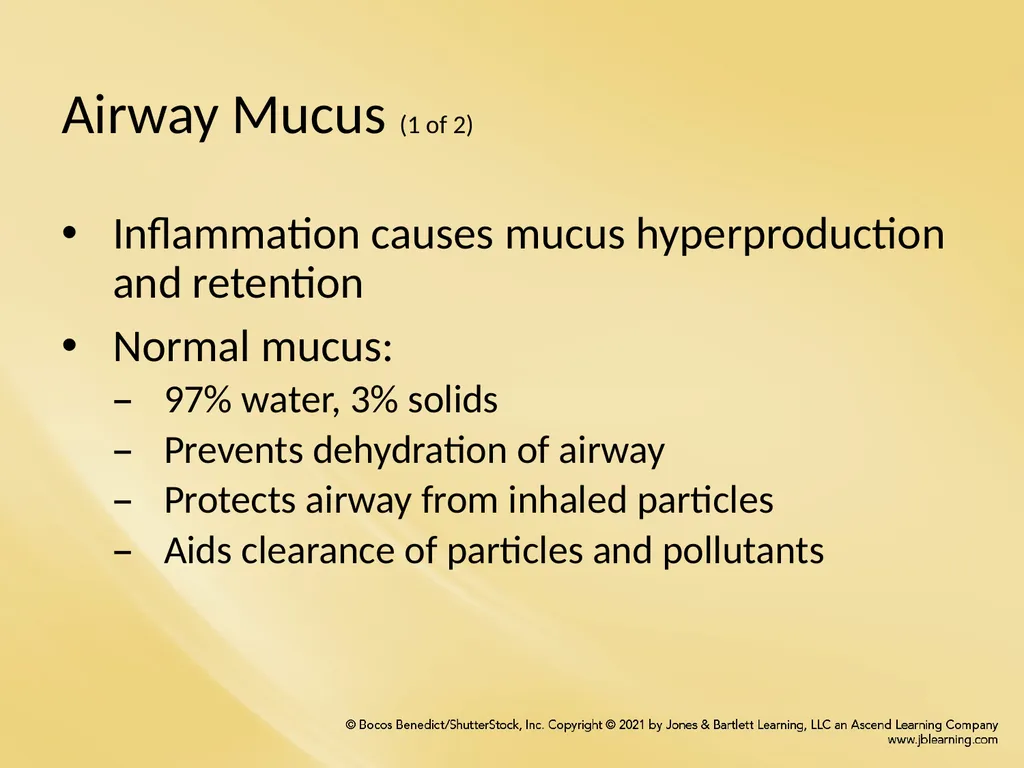 Chapter 8 Wetting Agents and Mucoactive Drugs - slide 2 of 39