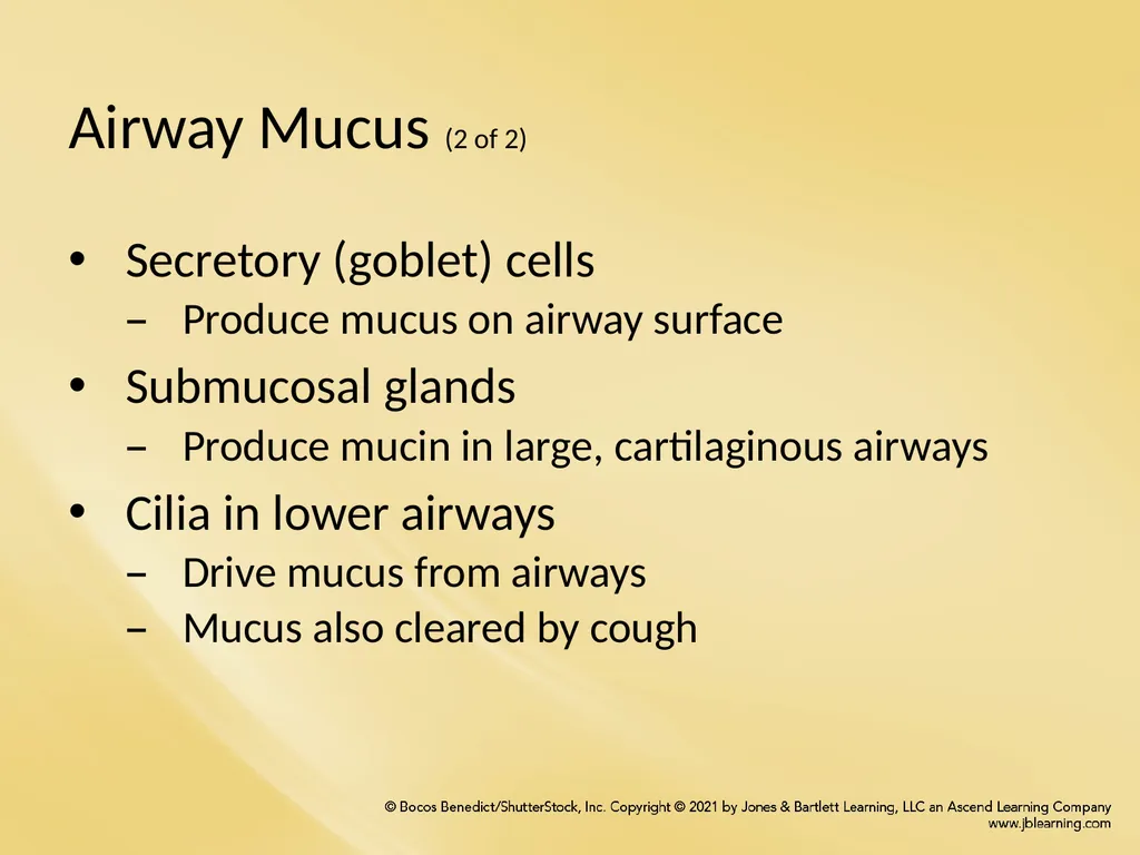 Chapter 8 Wetting Agents and Mucoactive Drugs - slide 3 of 39