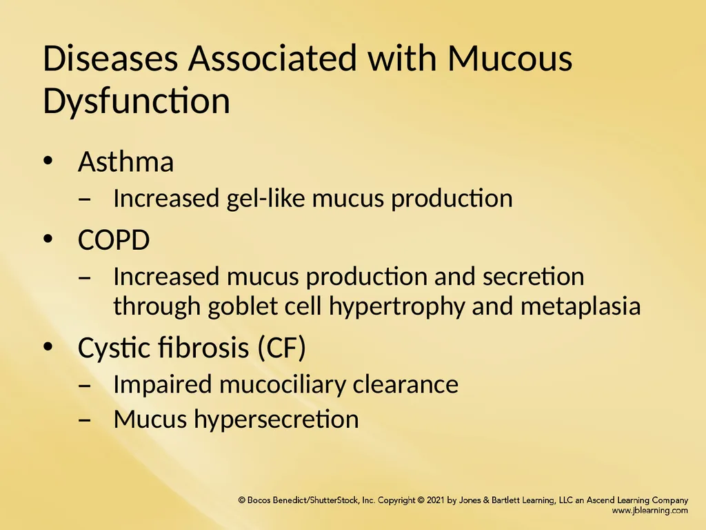 Chapter 8 Wetting Agents and Mucoactive Drugs - slide 6 of 39