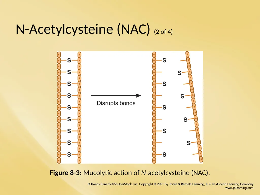 Chapter 8 Wetting Agents and Mucoactive Drugs - slide 25 of 39
