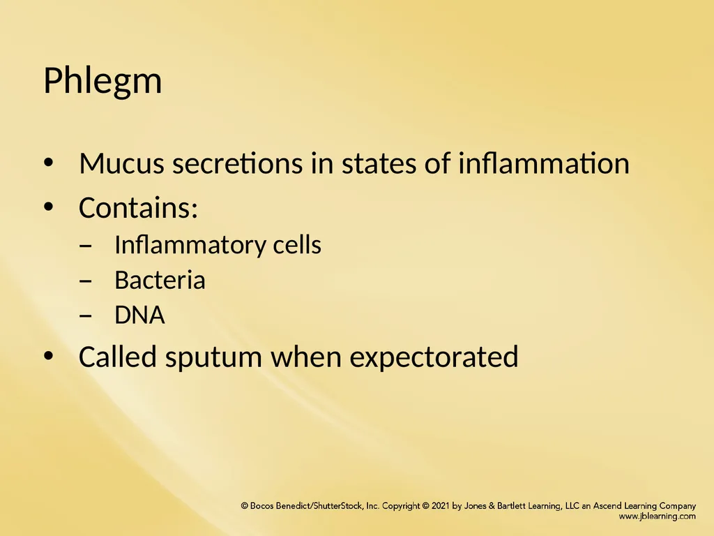 Chapter 8 Wetting Agents and Mucoactive Drugs - slide 4 of 39