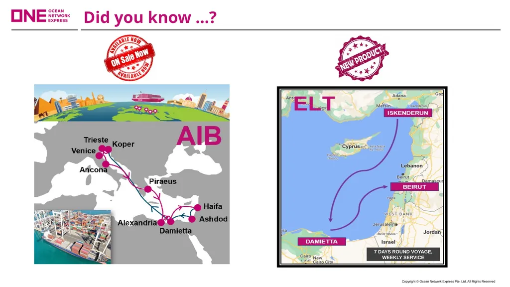 IOM (Indian Ocean Mediterranean) Service Brochure - slide 6 of 7