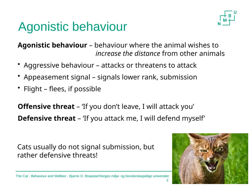 The Cat – Behaviour and Welfare 5. What does the - slide 2 of 11