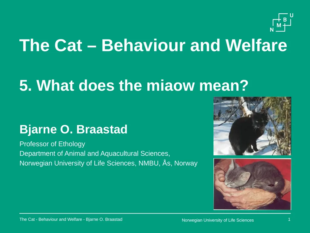 The Cat – Behaviour and Welfare 5. What does the - slide 1 of 11
