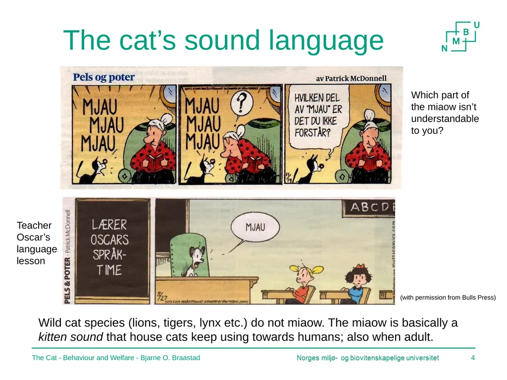 The Cat – Behaviour and Welfare 5. What does the - slide 4 of 11