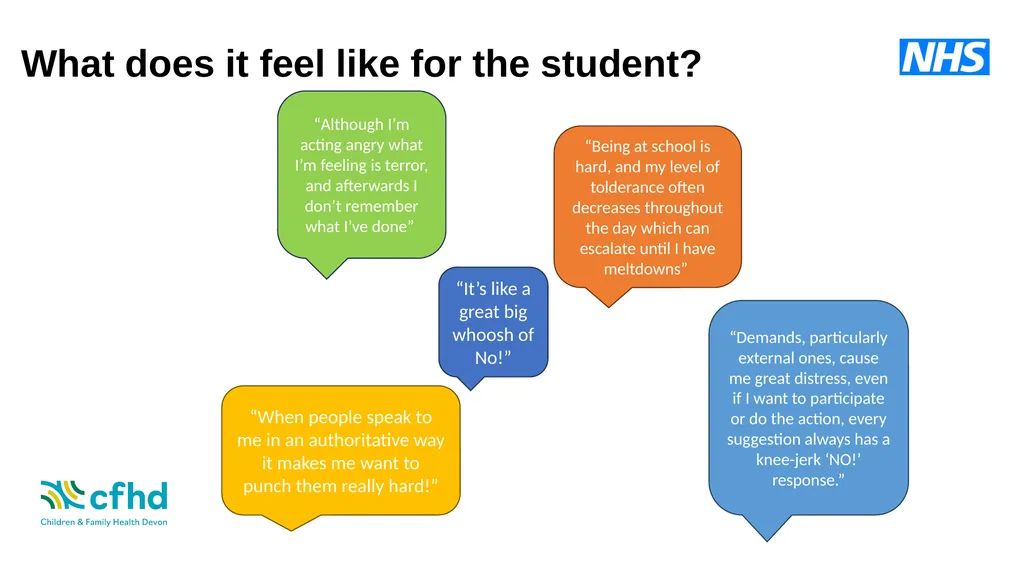 Understanding and Supporting Demand Avoidance in - slide 7 of 22
