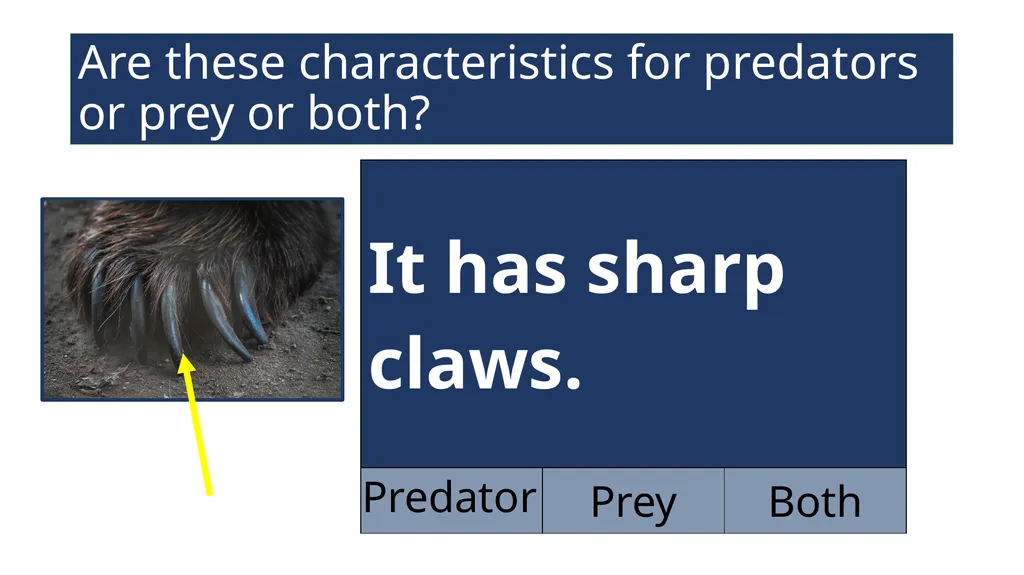 EAL Nexus Resource © Bell Educational Trust 2020 - slide 11 of 20