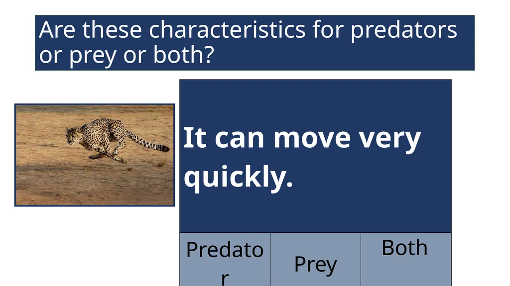 EAL Nexus Resource © Bell Educational Trust 2020 - slide 13 of 20