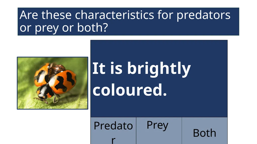 EAL Nexus Resource © Bell Educational Trust 2020 - slide 14 of 20