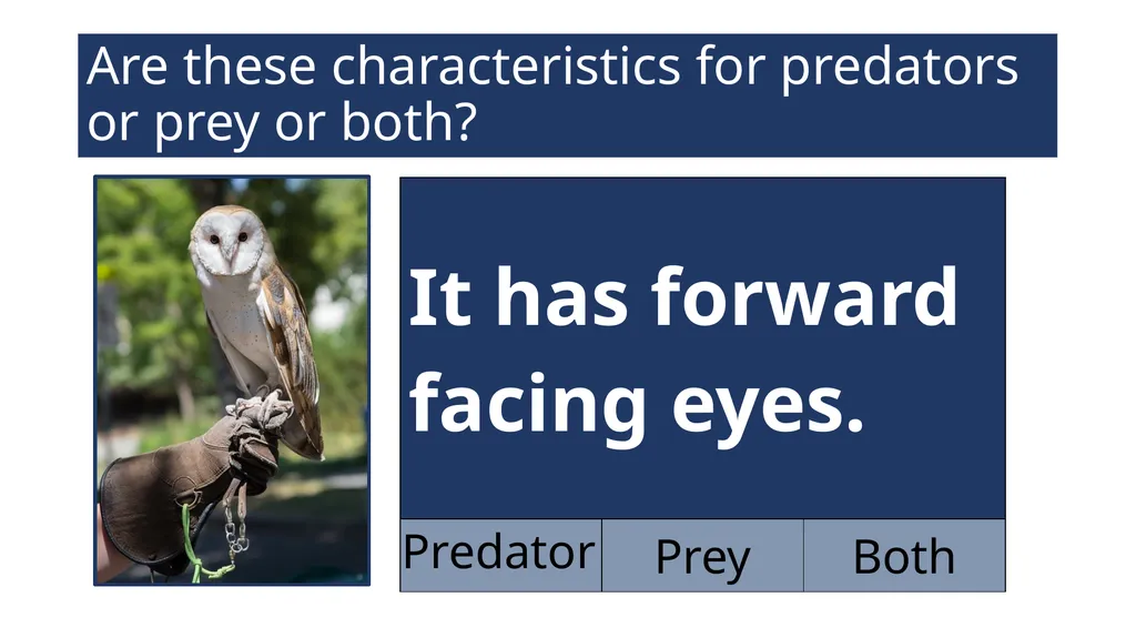 EAL Nexus Resource © Bell Educational Trust 2020 - slide 5 of 20