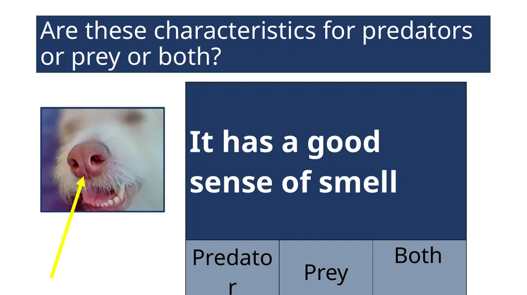 EAL Nexus Resource © Bell Educational Trust 2020 - slide 7 of 20