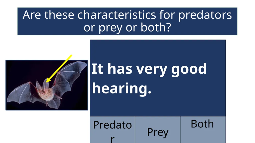 EAL Nexus Resource © Bell Educational Trust 2020 - slide 8 of 20